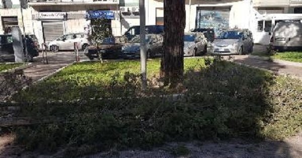Ramo cade sul parco giochi: tragedia sfiorata a Lecce