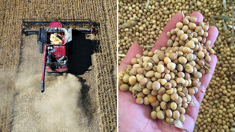 China takes aim at America's soybean farmers