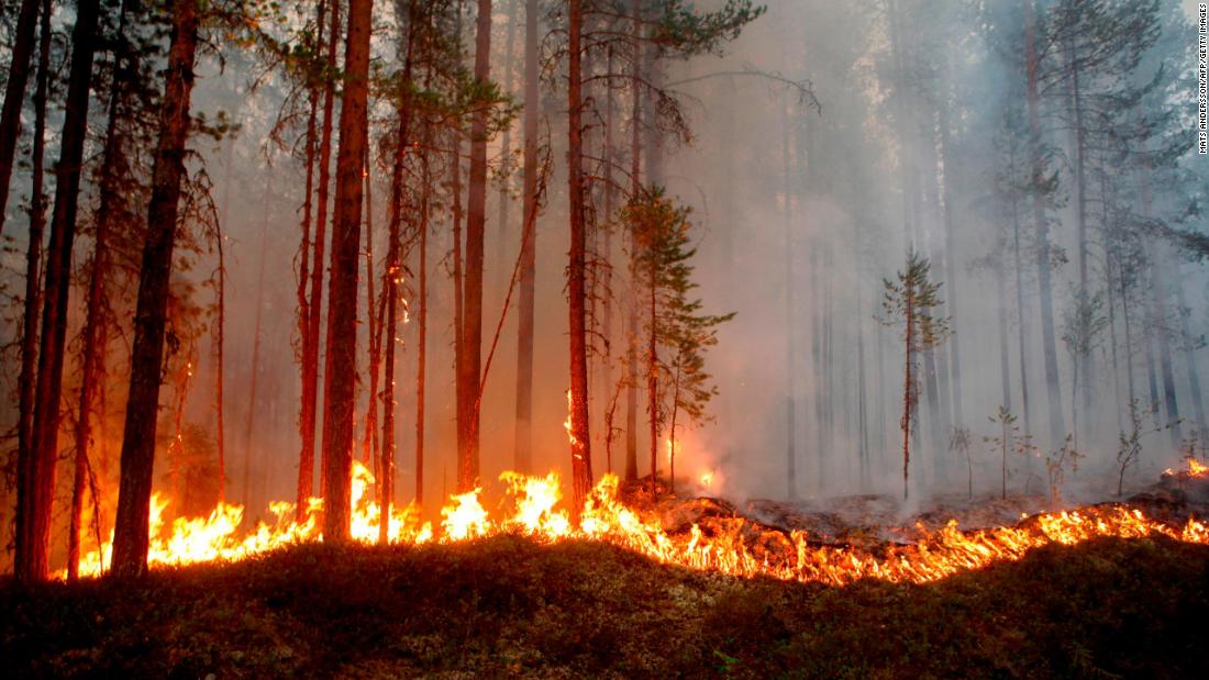 July's wildfires and record heat waves