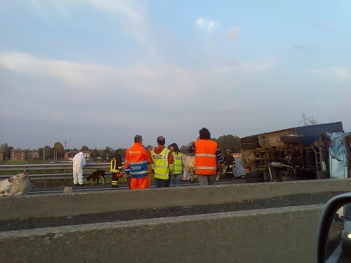 Puglia, schianto tra furgone e tir: 4 braccianti morti