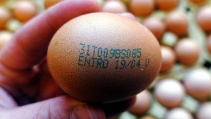 Uova fresche, allerta del ministero della salute per la salmonella: ritirati lotti