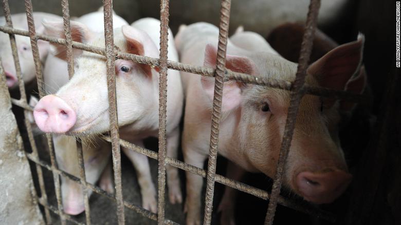 A swine fever outbreak is the latest threat to China's economy