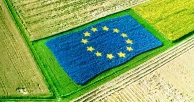 Politica agricola comune: preoccupazione delle Regioni per le proposte di Regolamento Ue