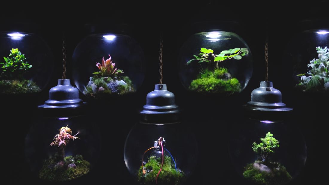 Inside the strange and beautiful world of miniature 'space colonies'
