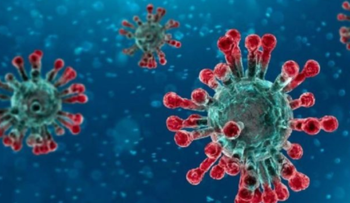 Coronavirus “molto simile alla Sars”