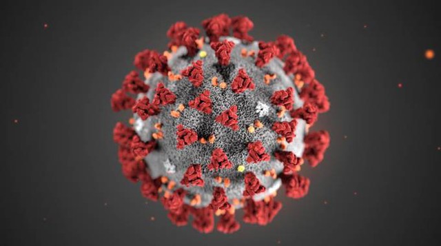 Coronavirus, GIMBE: numeri in calo ma crollano anche i tamponi