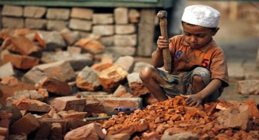 Lavoro minorile: 7 su 10 sfruttati per produrre cibo