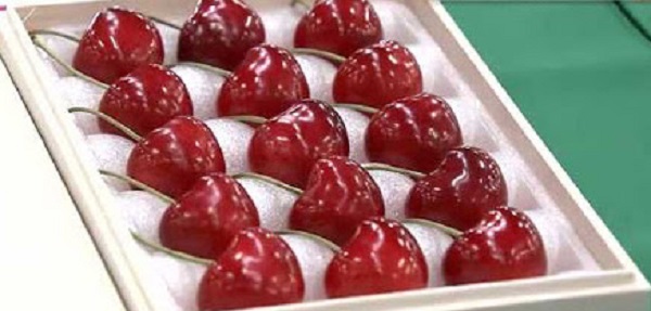 Giappone: ciliegie vendute al prezzo record di 230 euro l’una