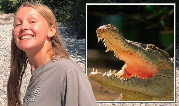 18enne inglese aggredita da un coccodrillo: amico la salva prendendo a pugni l’animale