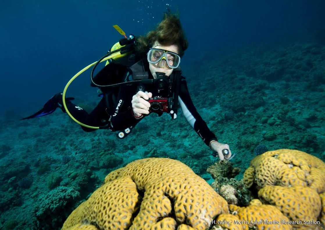 Explora Journeys sceglie la rinomata oceanografa Sylvia Earle come madrina di Explora I