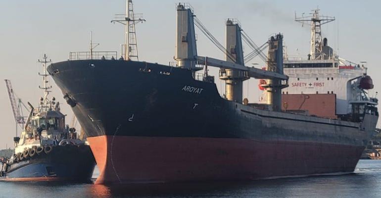 Arriva il secondo cargo di grano ucraino a Istanbul nonostante le minacce di Mosca
