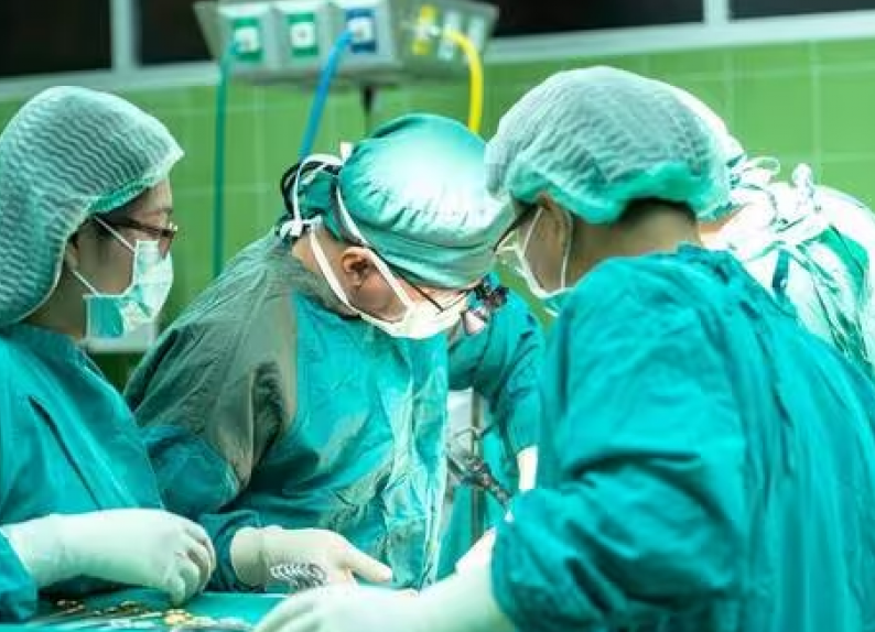 Negli USA eseguito il primo trapianto di rene di maiale in un paziente in vita